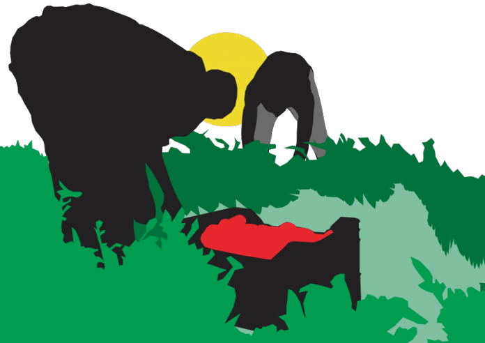 Braccianti clipart alfacom 1