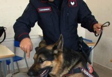 Controlli anti-droga a Lacedonia dei Carabinieri con unità cinofile a scuola