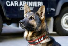 Mirabella Eclano, 18enne arrestato per detenzione e spaccio