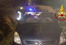 Maltempo, un albero crolla su un’auto in transito