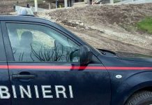 Montefalcione, controllava i dipendenti con le telecamere: denunciato