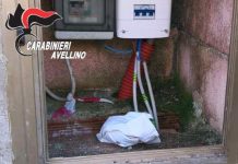 Serino, cane antidroga scova un etto di cocaina nell’area pic nic. Un arrestato