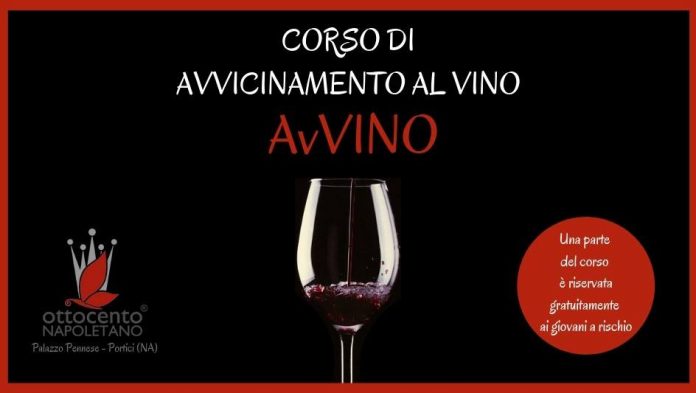 AV-VINO-2