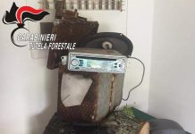 Operazione anti bracconaggio dei Carabinieri a Mugnano del Cardinale. Sequestrato un dispositivo sonoro