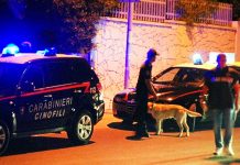 Carabinieri e unità cinofila scoprono una coltivazione di canapa a Mirabella Eclano
