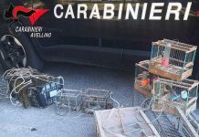 Denunciato bracconiere a Manocalzati, sequestrate le trappole