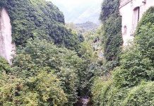CamminIrpini nel Fondovalle Fenestrelle, una lezione di storia naturale