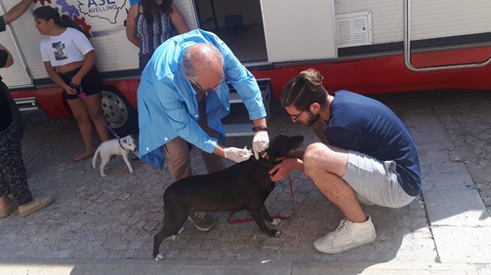 Il camper veterinario dell'Asl a Santa Paolina per la distribuzione dei chip e la registrazione degli animali da compagnia