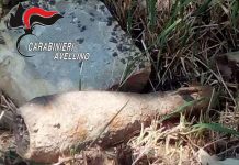 Bomba da mortaio della Seconda Guerra Mondiale trovata in un campo a Montella