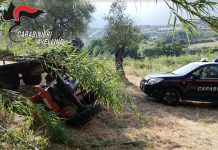 All’ospedale 3 fratelli travolti dal trattore. Ricoverato anche l’agricoltore alla guida. Indagini a Quaglietta