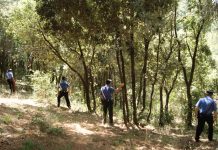 Come non perdersi in montagna, vademecum dei Carabinieri