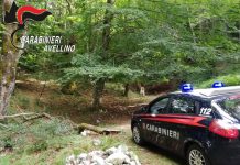 Smarriti sul Terminio mentre cercavano funghi, padre e figlio ritrovati dai Carabinieri