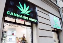 «Denunciato perché vende cannabis light», l’Associazione Canapa Sativa Italia rettifica