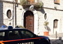 Truffa online sull’acquisto di un cane, denunciate due persone a Bisaccia