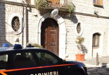 Risponde all’annuncio on line per un tagliaerba, ma viene truffato