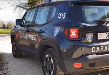 Sequestrata una tonnellata di prosciutti, culatelli e caciocavalli non identificati in Valle Ofanto