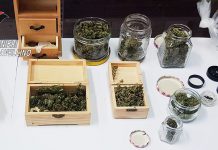Detenzione e spaccio di droga, arrestato 23enne ad Avellino