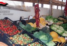Sequestrati e distrutti 95 chili tra legumi e pesce non tracciati a Montemarano