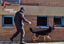 Cocaina e marijuana giù dalla finestra per sfuggire ai Carabinieri: denunciata