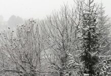 Allerta meteo nelle aree interne: neve a 500 metri stanotte