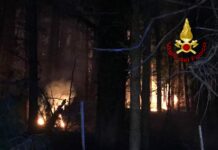 Brucia un bosco del Terminio a Serino