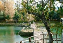 L’Alta Irpinia longobarda si unisce per un’estate di vacanza ‘covid free’