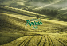 «Estate in Irpinia 2020 remake», al via il cartellone culturale