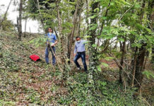 La ‘Nocciole irpine’ nella task force contro la cimice asiatica