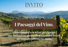 Finanziamenti per la ripartenza del vino irpino, videoconferenza il 12 giugno