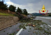 Albero caduto sull’autostrada A16 in quel momento senza auto