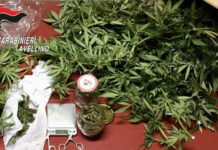 Arrestato un 18enne a Santo Stefano del Sole. Sequestrati 250 grammi di marijuana