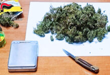 Coltivazione di marijuana a Volturara, arrestato 48enne dai Carabinieri