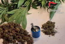 Denunciato a Calabritto per coltivazione di droga un 50enne del posto