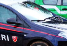 Denunciati due ventenni a Montoro per coltivazione di marijuana