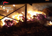 Incendio in un’azienda agricola di Lioni, indagano i Carabinieri