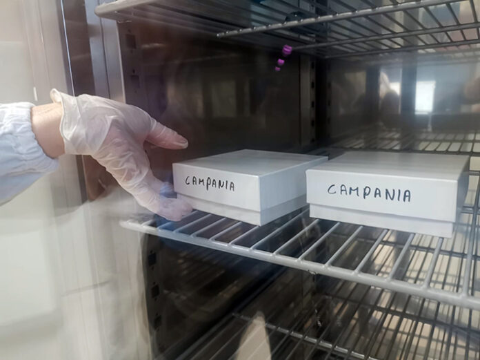 Vaccini Covid a Napoli e in Campania
