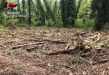 Opere non autorizzate a Senerchia in area protetta, denunciato 70enne