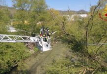 Liberata dai rami a Manocalzati una linea elettrica: scongiurato black out ad Arcella