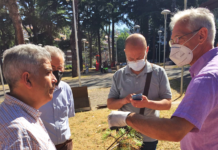 Parco Di Nunno, verifiche sui pini. Sopralluogo degli Agronomi