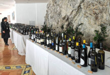 Vino, 83 aziende nella vetrina di Campania Stories