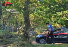 Ritrovati nei boschi di Volturara dai Carabinieri due giovani escursionisti