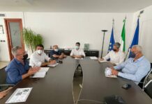 Nocciole campane in calo del 70%, l’Op lamenta una perdita di 80Mln di euro