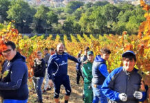Gli studenti dell’IIS Maffucci a lezione tra i vigneti di Conza della Campania