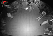 Ferito in un bar di Avellino da un colpo di pistola, fermato un 27enne di Mercogliano