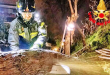 Nubifragio nella notte sull’Irpinia, caduto un albero sul Raccordo Av-Sa