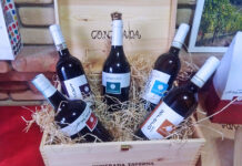 Fiano di Avellino spumante metodo classico presentato da Vini Contrada