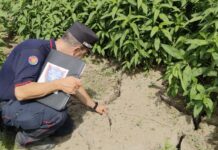Movimento franoso ad Altavilla, 4 denunciati dai Carabinieri Forestali