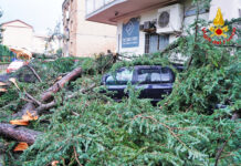 Forti piogge e venti sull’Irpinia, Vigili del Fuoco: 80 interventi in 36 ore