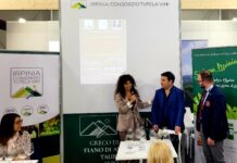Consorzio Tutela Vini d’Irpinia “avanza negli Usa”. Bruno: un successo il Vinitaly