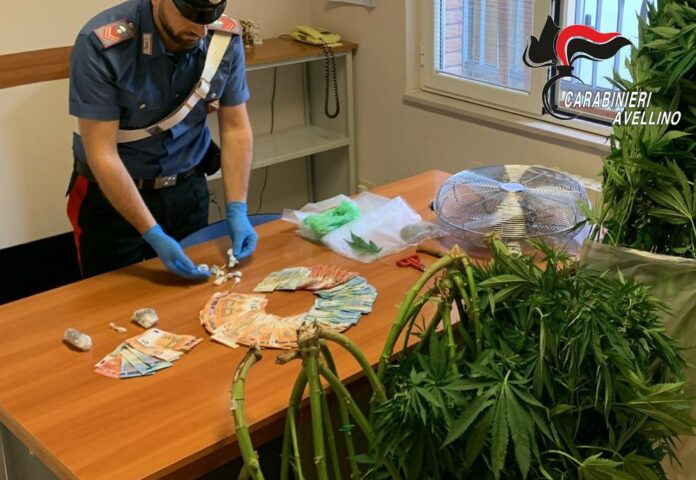 In arresto un 28enne di Ariano Irpino per detenzione e spaccio